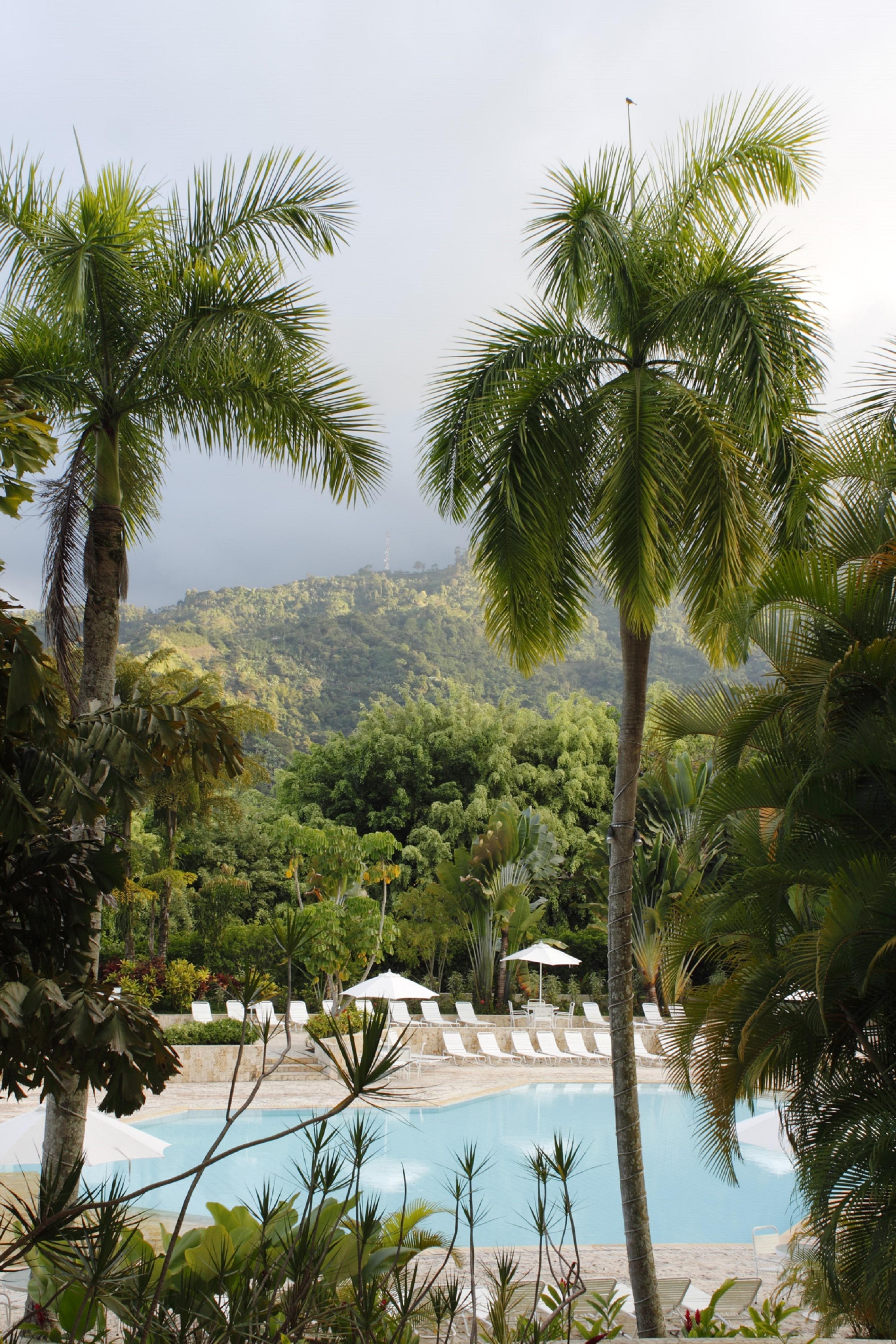 Hotel Estelar Altamira Ibagué Exterior foto Tropical rainforest in Hawaii